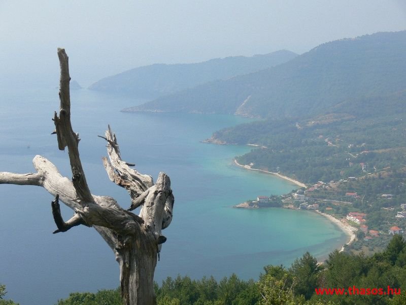 balazsh 2011